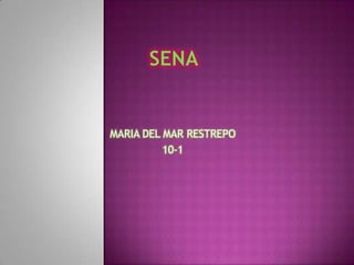MARIA DEL MAR RESTREPO
          10-1
 