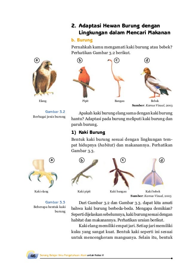 Senang Belajar Ilmu Pengetahuan Alam