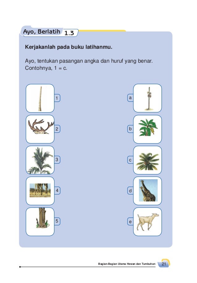 Materi ipa sd kelas 2