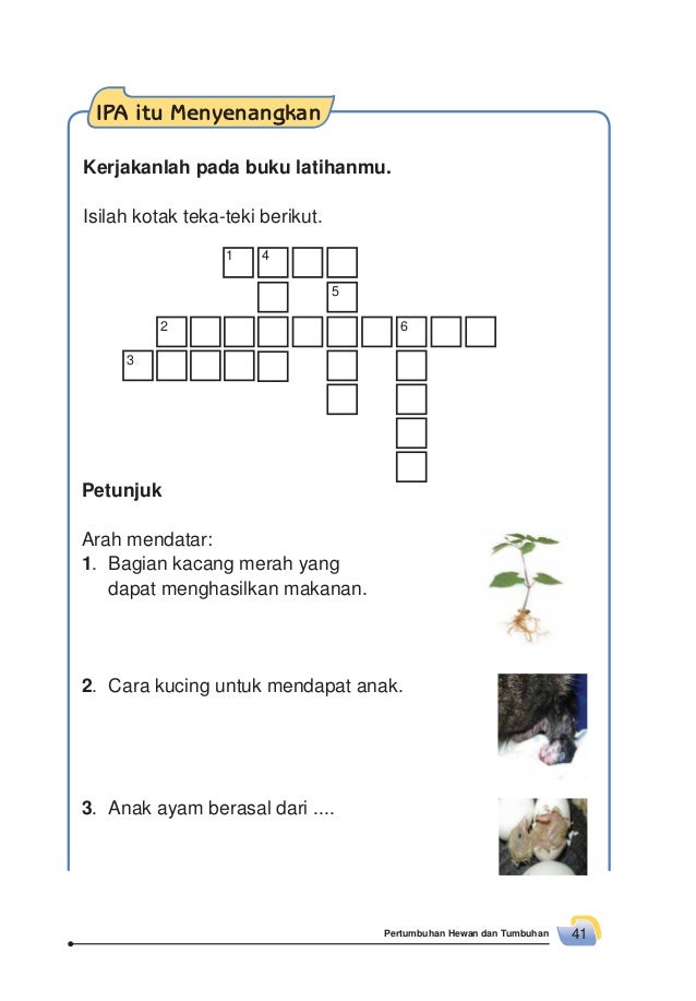 Senang Belajar Ipa Untuk Kelas 2 S Rositawaty