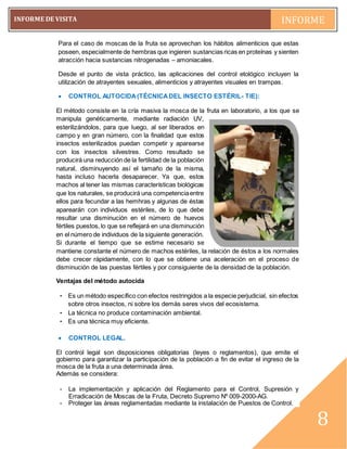 pág. 8
INFORME DE VISITA INFORME
~8~
8
Para el caso de moscas de la fruta se aprovechan los hábitos alimenticios que estas
poseen, especialmente de hembras que ingieren sustancias ricas en proteínas y sienten
atracción hacia sustancias nitrogenadas – amoniacales.
Desde el punto de vista práctico, las aplicaciones del control etológico incluyen la
utilización de atrayentes sexuales, alimenticios y atrayentes visuales en trampas.
 CONTROL AUTOCIDA(TÉCNICADEL INSECTO ESTÉRIL- TIE):
El método consiste en la cría masiva la mosca de la fruta en laboratorio, a los que se
manipula genéticamente, mediante radiación UV,
esterilizándolos, para que luego, al ser liberados en
campo y en gran número, con la finalidad que estos
insectos esterilizados puedan competir y aparearse
con los insectos silvestres. Como resultado se
producirá una reducción de la fertilidad de la población
natural, disminuyendo así el tamaño de la misma,
hasta incluso hacerla desaparecer. Ya que, estos
machos al tener las mismas características biológicas
que los naturales, se producirá una competenciaentre
ellos para fecundar a las hemhras y algunas de éstas
aparearán con individuos estériles, de lo que debe
resultar una disminución en el número de huevos
fértiles puestos,lo que se reflejará en una disminución
en el número de individuos de la siguiente generación.
Si durante el tiempo que se estime necesario se
mantiene constante el número de machos estériles, la relación de éstos a los normales
debe crecer rápidamente, con lo que se obtiene una aceleración en el proceso de
disminución de las puestas fértiles y por consiguiente de la densidad de la población.
Ventajas del método autocida
- Es un método específico con efectos restringidos a la especie perjudicial, sin efectos
sobre otros insectos, ni sobre los demás seres vivos del ecosistema.
- La técnica no produce contaminación ambiental.
- Es una técnica muy eficiente.
 CONTROL LEGAL.
El control legal son disposiciones obligatorias (leyes o reglamentos), que emite el
gobierno para garantizar la participación de la población a fin de evitar el ingreso de la
mosca de la fruta a una determinada área.
Además se considera:
- La implementación y aplicación del Reglamento para el Control, Supresión y
Erradicación de Moscas de la Fruta, Decreto Supremo Nº 009-2000-AG.
- Proteger las áreas reglamentadas mediante la instalación de Puestos de Control.
 