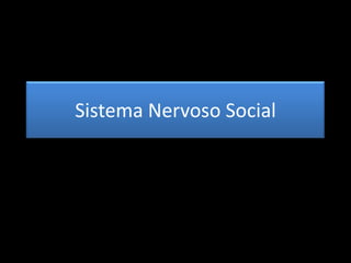 Sistema Nervoso Social