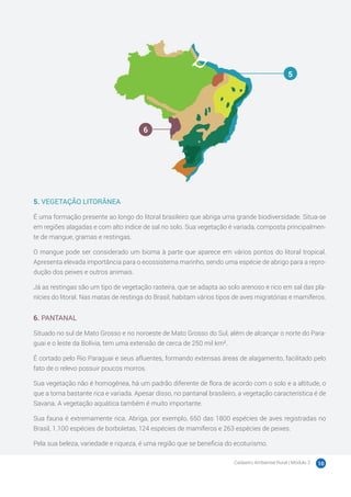Cadastro Ambiental Rural | Módulo 2 10
5. VEGETAÇÃO LITORÂNEA
É uma formação presente ao longo do litoral brasileiro que abriga uma grande biodiversidade. Situa-se
em regiões alagadas e com alto índice de sal no solo. Sua vegetação é variada, composta principalmen-
te de mangue, gramas e restingas.
O mangue pode ser considerado um bioma à parte que aparece em vários pontos do litoral tropical.
Apresenta elevada importância para o ecossistema marinho, sendo uma espécie de abrigo para a repro-
dução dos peixes e outros animais.
Já as restingas são um tipo de vegetação rasteira, que se adapta ao solo arenoso e rico em sal das pla-
nícies do litoral. Nas matas de restinga do Brasil, habitam vários tipos de aves migratórias e mamíferos.
6. PANTANAL
Situado no sul de Mato Grosso e no noroeste de Mato Grosso do Sul, além de alcançar o norte do Para-
guai e o leste da Bolívia, tem uma extensão de cerca de 250 mil km².
É cortado pelo Rio Paraguai e seus afluentes, formando extensas áreas de alagamento, facilitado pelo
fato de o relevo possuir poucos morros.
Sua vegetação não é homogênea, há um padrão diferente de flora de acordo com o solo e a altitude, o
que a torna bastante rica e variada. Apesar disso, no pantanal brasileiro, a vegetação característica é de
Savana. A vegetação aquática também é muito importante.
Sua fauna é extremamente rica. Abriga, por exemplo, 650 das 1800 espécies de aves registradas no
Brasil, 1.100 espécies de borboletas, 124 espécies de mamíferos e 263 espécies de peixes.
Pela sua beleza, variedade e riqueza, é uma região que se beneficia do ecoturismo.
5
6
 