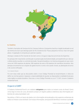 Cadastro Ambiental Rural | Módulo 2 12
9. PAMPAS
Também chamados de Campos do Sul, Campos Sulinos e Campanha Gaúcha, é região localizada no sul
da América do Sul e que abrange parte do Rio Grande do Sul. Possui pequenos morros, mas é em geral
plana. A vegetação é composta por gramas e pastos.
Abrange o estado do Rio Grande do Sul, bem como o Uruguai e algumas províncias da Argentina.
Os pampas têm importante contribuição na preservação da biodiversidade, principalmente por atenuar
o efeito estufa e auxiliar no controle da erosão. Na parte brasileira, é um bioma ameaçado em que vivem
cerca de 3.000 espécies de plantas, 385 espécies de aves e 90 espécies de mamíferos terrestres. Nos
pampas encontramos as criações de gados bovino e ovino e de cavalo crioulo, as plantações de arroz
e de uva de vinificação.
Fonte: Adaptado Wikipedia
Foi com essa visão que as discussões sobre o novo Código Florestal se encaminharam. A ideia era
definir as normas gerais e repassar a responsabilidade de ajustar as disposições à realidade local para
cada região ou estado brasileiro. Para isso, o novo Código Florestal, ou Lei nº 12.651, trouxe o Cadastro
Ambiental Rural.
O que é o CAR?
O Cadastro Ambiental Rural é um cadastro obrigatório para todos os imóveis rurais do Brasil. Como
vimos logo no início do curso, ele deverá compor um registro público e eletrônico das informações am-
bientais de cada propriedade rural.
Na prática, o CAR é um banco de dados com informações da localização e dos aspectos ambientais de
todos os imóveis rurais do Brasil. Com essas informações, será possível identificar, monitorar e proteger
9
 