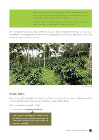 Cadastro Ambiental Rural | Módulo 2 22
Desse modo, é o manejo sustentável que garante a sobrevivência da flores-
ta e também propicia, às populações nativas, a possibilidade de viver dos
recursos florestais sem a necessidade de derrubar as árvores.
Portanto, o bom manejo dá à floresta um valor econômico e ao mesmo
tempo aumenta a qualidade de vida de toda a população.
Um exemplo de manejo sustentável pode ser a utilização do sistema agroflorestal (SAF), em que espé-
cies frutíferas ou madeireiras convivem com cultivos agrícolas ou com criação de animais. É o caso do
cultivo de café juntamente com cacau.
Fonte: Shutterstock.
Utilidade pública
Refere-se às ações e atividades orientadas para fins de interesse geral e que são prestadas à sociedade
de modo desinteressado, isto é, sem o interesse de receber algo em troca.
São consideradas de utilidade pública:
•	 As atividades de segurança nacional.
Têm o objetivo de assegurar a integridade do
território, proteger a população e preservar os
interesses nacionais contra qualquer tipo de
ameaça e agressão.
 