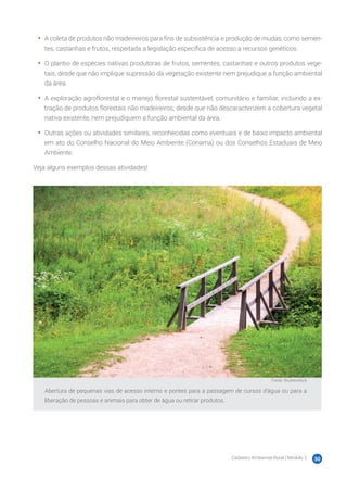 Cadastro Ambiental Rural | Módulo 2 30
•	 A coleta de produtos não madeireiros para fins de subsistência e produção de mudas, como semen-
tes, castanhas e frutos, respeitada a legislação específica de acesso a recursos genéticos.
•	 O plantio de espécies nativas produtoras de frutos, sementes, castanhas e outros produtos vege-
tais, desde que não implique supressão da vegetação existente nem prejudique a função ambiental
da área.
•	 A exploração agroflorestal e o manejo florestal sustentável, comunitário e familiar, incluindo a ex-
tração de produtos florestais não madeireiros, desde que não descaracterizem a cobertura vegetal
nativa existente, nem prejudiquem a função ambiental da área.
•	 Outras ações ou atividades similares, reconhecidas como eventuais e de baixo impacto ambiental
em ato do Conselho Nacional do Meio Ambiente (Conama) ou dos Conselhos Estaduais de Meio
Ambiente.
Veja alguns exemplos dessas atividades!
Fonte: Shutterstock
Abertura de pequenas vias de acesso interno e pontes para a passagem de cursos d’água ou para a
liberação de pessoas e animais para obter de água ou retirar produtos.
 