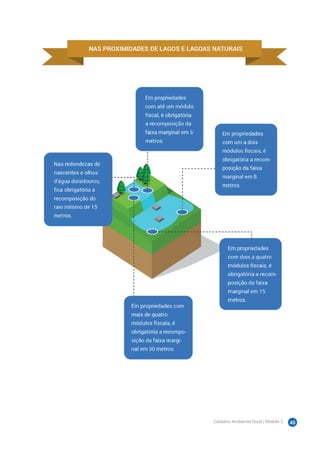Cadastro Ambiental Rural | Módulo 2 45
 