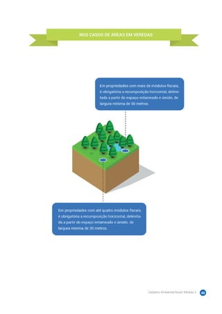 Cadastro Ambiental Rural | Módulo 2 46
 