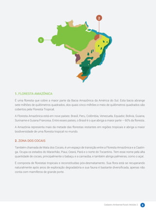 Cadastro Ambiental Rural | Módulo 2 8
1. FLORESTA AMAZÔNICA
É uma floresta que cobre a maior parte da Bacia Amazônica da América do Sul. Esta bacia abrange
sete milhões de quilômetros quadrados, dos quais cinco milhões e meio de quilômetros quadrados são
cobertos pela Floresta Tropical.
A Floresta Amazônica está em nove países: Brasil, Peru, Colômbia, Venezuela, Equador, Bolívia, Guiana,
Suriname e Guiana Francesa. Entre esses países, o Brasil é o que abriga a maior parte – 60% da floresta.
A Amazônia representa mais da metade das florestas restantes em regiões tropicais e abriga a maior
biodiversidade de uma floresta tropical no mundo.
2. ZONA DOS COCAIS
Também chamada de Mata dos Cocais, é um espaço de transição entre a Floresta Amazônica e a Caatin-
ga. Ocupa os estados do Maranhão, Piauí, Ceará, Pará e o norte do Tocantins. Tem esse nome pela alta
quantidade de cocais, principalmente o babaçu e a carnaúba, e também abriga palmeiras, como o açaí.
É composta de florestas tropicais e reconstituídas pós-desmatamento. Sua flora está se recuperando
naturalmente após anos de exploração degradatória e sua fauna é bastante diversificada, apenas não
conta com mamíferos de grande porte.
1
2
 
