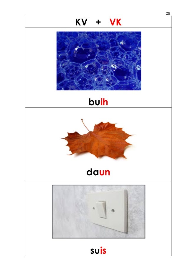 Pola Ubat Nyamuk - Notable k