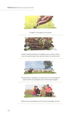 MÓDULO 01 | Manejo e preparo do solo
19
Ciclagem e reciclagem de nutrientes.
Fixação e disponibilização de nitrogênio para a próxima cultura,
caso uma espécie leguminosa seja cultivada como adubo verde.
Possibilidade de integração com a pecuária, com a utilização do
adubo verde como pastagem para a alimentação do gado.
Melhoria das propriedades químicas, físicas e biológicas do solo.
 