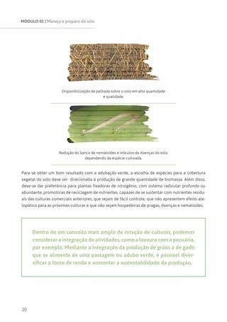 MÓDULO 01 | Manejo e preparo do solo
20
Disponibilização de palhada sobre o solo em alta quantidade
e qualidade.
Redução do banco de nematoides e inóculos de doenças do solo,
dependendo da espécie cultivada.
Para se obter um bom resultado com a adubação verde, a escolha de espécies para a cobertura
vegetal do solo deve ser direcionada à produção de grande quantidade de biomassa. Além disso,
deve-se dar preferência para plantas fixadoras de nitrogênio, com sistema radicular profundo ou
abundante, promotoras de reciclagem de nutrientes, capazes de se sustentar com nutrientes residu-
ais das culturas comerciais anteriores, que sejam de fácil controle, que não apresentem efeito ale-
lopático para as próximas culturas e que não sejam hospedeiras de pragas, doenças e nematoides.
Dentro de um conceito mais amplo de rotação de culturas, podemos
considerar a integração de atividades, como a lavoura com a pecuária,
por exemplo. Mediante a integração da produção de grãos à de gado
que se alimente de uma pastagem ou adubo verde, é possível diver-
sificar a fonte de renda e aumentar a sustentabilidade da produção.
 