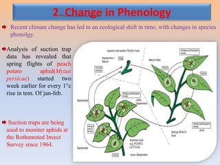 Insect Changes Scenario of insect pest under climate change situation & future ...