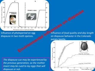 Photoperiod Insect Scenario of insect pest under climate change situation & future ...
