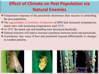 Scenario of insect pest under climate change situation & future ...