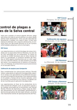de plagas a
a Selva central
MIP Cacao
Pangoa, 10 de marzo.
Calibración de equipos
Pichanaki, 11 de marzo.
MIP Bananos
La Merced, 12 de marzo.
MIP Cacao y Bananos
Satipo, 13 de marzo.
control de plagas a
es de la Selva central
tegia para combatir al caracol gigante africano, plaga
que arrasa con todo lo que encuentran a su paso, desde
plantas hasta desperdicios. Tiene una alta velocidad de
devastación y pueden vivir hasta 9 años. Si bien esta
babosa ha afectado solo a algunas plantaciones, el con-
tacto físico con ella puede provocar en el ser humano
enfermedades peligrosas como la meningitis.
MIP Cacao
Las capacitaciones en control de plagas de cacao, brin-
dadas por la especialista Patricia Mendoza, fue otra de
las más solicitadas por los productores. El cultivo se
extiende en 21,694 hectáreas solo en Selva Central. El
grano es considerado un producto bandera del Perú,
que en 2014 registró exportaciones por un valor supe-
rior a los US$ 233 millones. Se sabe también que el 90%
del cacao y sus preparaciones se destina a la exporta-
ción, sin embargo, los productores buscan posicionarse
en el mercado interno.
Calibración de equipos para fumigación
Para complementar las instrucciones teóricas, Ricardo
Solano, especialista en aplicación de plaguicidas capaci-
tó en campo a los agricultores en la calibración de equi-
pos para la fumigación de parcelas. Puso especial énfasis
en el cuidado y manejo de los insumos agrícolas, como
las raciones a suministrar en los cultivos y el debido uso
de las mochilas para la aplicación de plaguicidas.
Las capacitaciones en favor de los productores de la
Selva Central de la Región Junín, se ejecutaron gracias a
las medidas anunciadas por el economista Juan Manuel
Benites, Ministro de Agricultura y Riego, luego de dialo-
gar directamente con las autoridades representativas y
gremios de agricultores de esta región del país, una de las
más importantes fuentes de agroexportaciones del Perú.
08
 