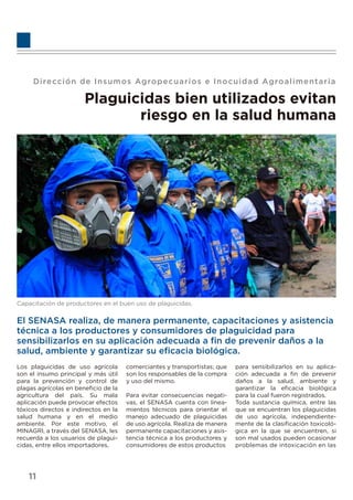 Dirección de Insumos Agropecuarios e Inocuidad Agroalimentaria
Plaguicidas bien utilizados evitan
riesgo en la salud humana
Capacitación de productores en el buen uso de plaguicidas.
El SENASA realiza, de manera permanente, capacitaciones y asistencia
técnica a los productores y consumidores de plaguicidad para
sensibilizarlos en su aplicación adecuada a ﬁn de prevenir daños a la
salud, ambiente y garantizar su eﬁcacia biológica.
Los plaguicidas de uso agrícola
son el insumo principal y más útil
para la prevención y control de
plagas agrícolas en beneﬁcio de la
agricultura del país. Su mala
aplicación puede provocar efectos
tóxicos directos e indirectos en la
salud humana y en el medio
ambiente. Por este motivo, el
MINAGRI, a través del SENASA, les
recuerda a los usuarios de plagui-
cidas, entre ellos importadores,
comerciantes y transportistas; que
son los responsables de la compra
y uso del mismo.
Para evitar consecuencias negati-
vas, el SENASA cuenta con linea-
mientos técnicos para orientar el
manejo adecuado de plaguicidas
de uso agrícola. Realiza de manera
permanente capacitaciones y asis-
tencia técnica a los productores y
consumidores de estos productos
para sensibilizarlos en su aplica-
ción adecuada a ﬁn de prevenir
daños a la salud, ambiente y
garantizar la eﬁcacia biológica
para la cual fueron registrados.
Toda sustancia química, entre las
que se encuentran los plaguicidas
de uso agrícola, independiente-
mente de la clasiﬁcación toxicoló-
gica en la que se encuentren, si
son mal usados pueden ocasionar
problemas de intoxicación en las
11
 