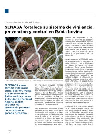 Dirección de Sanidad Animal
SENASA fortalece su sistema de vigilancia,
prevención y control en Rabia bovina
La Rabia bovina es transmitida por murciélagos hematófagos (vampiros).
El SENASA como
servicio veterinario
oﬁcial del Perú frente
a la atención de la
Rabia bovina y como
Autoridad en Sanidad
Agraria, realiza
acciones de
prevención y control
de la rabia en el
ganado herbívoro.
Un importante proyecto ﬁrmado
por el Gobierno Peruano, a través
de la Agencia Peruana de Coopera-
ción Internacional (APCI), y la Orga-
nización de las Naciones Unidas
para la Alimentación y la Agricultu-
ra (FAO), permitirá al SENASA
fortalecer su sistema de vigilancia,
prevención y control de Rabia en
herbívoros, enfermedad conocida
como Rabia paralítica bovina.
Las autoridades sanitarias veteri-
narias de Bolivia, Perú, Honduras y
Guatemala, solicitaron a la FAO,
oportunamente, asistencia técnica
para fortalecer el sistema de
prevención y control de rabia en
herbívoros, con el objetivo de
enfrentar este ﬂagelo que impacta
los sistemas pecuarios y de salud
pública. En respuesta, la FAO
diseñó un proyecto de coopera-
ción técnica denominado: Fortale-
cimiento del sistema de preven-
ción y control de la Rabia Paralíti-
ca Bovina, mediante participación
comunitaria bajo el enfoque ‘Una
Salud’, con una duración de 18
meses y un presupuesto de US$
448,000.
De esta manera el SENASA forta-
lece la coordinación intersectorial
principalmente con el Ministerio
de Salud, Ministerio del Medio
Ambiente, Autoridades Regiona-
les y Locales; asimismo, se asegura
la capacitación del personal profe-
sional de la institución a través de
una plataforma educativa de
autoaprendizaje a distancia de
carácter regional y gratuito, orien-
tada a fortalecer la capacidad de
respuesta frente a brotes y lograr
la formación de educadores sani-
tarios en áreas endémicas priorita-
rias, para crear conciencia de los
peligros de la enfermedad entre
los productores. Con la ejecución
de este proyecto, el SENASA se
beneﬁcia fortaleciendo su capaci-
dad técnica como servicio veteri-
nario oﬁcial del Perú frente a la
atención de esta enfermedad.
Cabe destacar, que SENASA reali-
za acciones de prevención y con-
trol de la rabia en el ganado herbí-
voro, enfermedad transmitida por
el vampiro. Actualmente se tienen
antecedentes de brotes de rabia
conﬁrmados con diagnóstico de
laboratorio en Amazonas, Caja-
marca, San Martín, Huánuco, Uca-
yali, Cerro de Pasco, Junín, Ayacu-
17
 