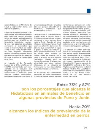 recolectados por el Ministerio de
Salud y representar zonas con
índices de pobreza.
Luego de la presentación de Que-
vedo, la Dra. Bernadette Abela-Ri-
dder, de la OMS, destacó la impor-
tancia del trabajo realizado por los
profesionales del SENASA en el
tema de la Hidatidosis, y manifes-
tó que las acciones ejecutadas
corroboran la expectativa que
existe a nivel mundial por saber
cómo el Perú viene implementan-
do este Programa netamente
técnico y cientíﬁco; además indicó
que es muy signiﬁcativo aprender
de esta experiencia desarrollada
en el Perú.
Al respecto, el Dr. Fernando
Leanes de la OPS, señaló que el
SENASA se encontraba bien posi-
cionado en la ejecución del
Programa Piloto, ya que evidencia
coordinación y liderazgo para
articular diversas instituciones,
entre ellas, el Ministerio de Salud y
universidades públicas y privadas,
para que pongan atención en la
hidatidosis, enfermedad que
afecta la salud pública.
La hidatidosis es una enfermedad
producida por el parásito llamado
Echinococcus granulosus y trans-
mitida por el perro a través de su
materia fecal. Cuando el perro
infectado elimina su materia fecal,
salen con ella miles de huevos del
parásito que contaminan el agua,
el pasto, la tierra, las verduras y
hasta quedan adheridos en el pelo
del mismo perro. Cuando las
ovejas comen los huevos con el
pasto o el agua, en sus órganos
(pulmones, hígado, etc.) se
forman los quistes. Si el perro es
alimentado con estas vísceras
infectadas, en su intestino se
forman una vez más los parásitos,
y el ciclo empieza nuevamente.
En el ganado, esta enfermedad
parasitaria no tiene tratamiento,
por lo que solo se aplican medidas
sanitarias que consisten en cortar
el ciclo biológico del parásito en el
hospedero intermediario (perros),
evitando que estos animales con-
suman vísceras infectadas con
quistes hidatídicos. Asimismo, se
recomienda realizar un control en
el perro mediante dosiﬁcaciones,
y así evitar que elimine huevos del
parásito junto con las heces, de
esta manera se previene la conta-
minación de los pastos y el agua.
A la cita con el SENASA participa-
ron la Dra. Bernadette Abela-Rid-
der, jefe de equipo de Enfermeda-
des Desatendidas de la Organiza-
ción Mundial de la Salud (OMS),
con sede en Ginebra; el Dr. Fernan-
do Leanes, representante de la
Organización Panamericana de la
Salud (OPS) en Perú; el Dr. Marco
Vigilato, Asesor Regional en Salud
Pública y la Dra. Ana Luciañez de
la Oﬁcina Panamericana de Salud
(OPS); y la Ing. Marisa Caipo,
Oﬁcial de FAO para América
Latina y el Caribe.
Entre 73% y 87%
son los porcentajes que alcanza la
Hidatidosis en animales de beneﬁcio en
algunas provincias de Puno y Junín.
Hasta 70%
alcanzan los índices de prevalencia de la
enfermedad en perros.
20
 