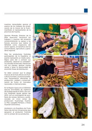 nuestras necesidades gracias al
avance de los trabajos de erradi-
cación de la mosca de la fruta”,
manifestó el representante de la
provincia de Huanta.
Germán Miranda, Director de la
DRA Ayacucho, reconoció los
trabajos y avances del proyecto
comprometiendo su apoyo a las
futuras acciones que realice el
SENASA como organismo del
sector agrario, en beneﬁcio de los
consumidores, agricultura y gana-
dería regional.
Para los productores frutícolas
participantes de la Expoferia, el
evento representó un medio estra-
tégico para dar a conocer sus
productos, observar la competen-
cia, estudiar el mercado, interactuar
con sus clientes, generar nuevas
ventas y tener la oportunidad de
encontrar líneas de distribución.
Se debe conocer que la plaga
moscas de la fruta afecta a la fruti-
cultura mundial y ocasiona proble-
mas ﬁtosanitarios afectando la
producción, calidad y comerciali-
zación de frutos en mercados
nacionales e internacionales.
En la Región Ayacucho el SENASA
ejecuta actividades de vigilancia
de la plaga desde el 2012 y de con-
trol integrado desde agosto del
2013, con un contingente de auxi-
liares de campo, técnicos y profe-
sionales en cinco zonas de
producción: Huamanga, Huanta,
La Mar, Cangallo-Pampas y Vilcas
Huamán-Chincheros.
Asistieron a la Expoferia de Fruta
Sana más de tres mil personas que
apoyaron al productor frutícola
con la compra de sus productos.
24
 