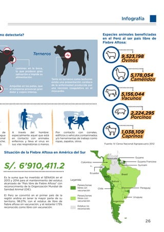 ?
Infografía
mo detectarla?
Lesiones en la boca,
lo que produce gran
salivación e impide su
alimentación.
Ampollas en las patas, que
al romperse provocan gran
dolor y cojera intensa.
Tanto en terneros como lechones
existe una presentación cardiaca
de la enfermedad producida por
una necrosis coagulativa en el
miocardio.
Terneros
de
agua
nimal
eche;
o.
A través del hombre:
especialmente aquel que está
en contacto con animales
enfermos y lleva el virus en
sus vías respiratorias o manos.
Por contacto con corrales,
ediﬁcios o vehículos contaminados
y/o herramientas de trabajo como
ropas, zapatos, otros.
Especies animales beneﬁciadas
en el Perú al ser país libre de
Fiebre Aftosa:
Fuente: IV Censo Nacional Agropecuario 2012
Situación de la Fiebre Aftosa en América del Sur
S/. 6’910,411.2
Es la suma que ha invertido el SENASA en el
2013 y 2014 para el mantenimiento del estatus
alcanzado de “País libre de Fiebre Aftosa” con
reconocimiento de la Organización Mundial de
Sanidad Animal (OIE).
El Perú se convirtió en el primer país de la
región andina en tener la mayor parte de su
territorio, 98.27%, con el estatus de libre de
ﬁebre aftosa sin vacunación, y el restante 1.73%
reconocido como libre con vacunación.
Venezuela Guyana
Guyana Francesa
Surinam
Colombia
Ecuador
Perú
Brasil
Bolivia
ParaguayChile
Uruguay
Argentina
Países/zonas
libres sin
vacunación
Países/zonas
libres con
vacunación
Estatus no
reconocido
Leyenda:
26
 