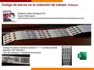 Software: Zebra Designer Pro
Costo: $300 aprox.
https://www.zebra.com/us/en/products/software/barcode-printers/link-os/zebradesigner-pro.html
Codigo de barras: Numero accesion + ’-’ + numero parcela
Ejemplo: CIP 702333-3
Tipo de impresion: Transferencia termica
Codigo de barras en la colección de campo: Software
 