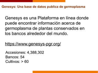 Genesys: Una base de datos publica de germoplasma
Genesys es una Plataforma en línea donde
puede encontrar información acerca de
germoplasma de plantas conservados en
los bancos alrededor del mundo.
https://www.genesys-pgr.org/
Accesiones: 4,388,302
Bancos: 54
Cultivos: > 60
 