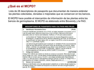 ¿Qué es el MCPD?
El MCPD hace posible el intercambio de información de las plantas entre los
bancos de germoplasma. El MCPD es elaborado entre Bioversity y la FAO.
Lista de 28 descriptores de pasaporte que documentan de manera estándar
las plantas colectadas, donadas o mejoradas que se conservan en los bancos.
 