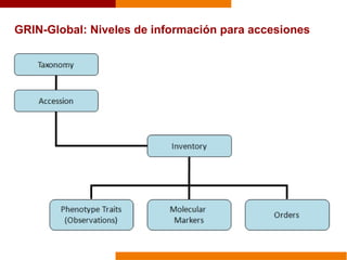 GRIN-Global: Niveles de información para accesiones
 