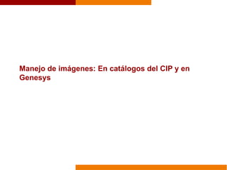 Manejo de imágenes: En catálogos del CIP y en
Genesys
 