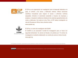 El CIP es una organización de investigación para el desarrollo dedicada a la
papa, el camote y las raíces y tubérculos andinos. Ofrece soluciones
científicas innovadoras para mejorar el acceso a alimentos nutritivos
asequibles, fomentar el crecimiento sostenible e inclusivo de empresas y
empleos, e impulsar la resiliencia climática de los sistemas agroalimentarios de
raíces y tubérculos. Con sede en Lima, Perú, el CIP realiza investigación en
más de 20 países en África, Asia y América Latina.
www.cipotato.org
El CIP es un centro de investigación del CGIAR.
El CGIAR es una asociación mundial de investigación para un futuro con
seguridad alimentaria. Su ciencia es llevada a la práctica por 15 centros de.
investigación en estrecha colaboración con cientos de socios en todo el mundo
www.cgiar.org
El CIP agradece a los donantes y organizaciones que apoyan globalmente su trabajo a través de sus contribuciones al Fondo Fiduciario del CGIAR: www.cgiar.org/funders
Esta publicación está registrada por el Centro Internacional de la Papa (CIP). Está licenciada para su uso bajo la Licencia Internacional de Atribución 4.0 de Creative Commons
 