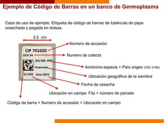 Ejemplo de Código de Barras en un banco de Germoplasma
Numero de accesión
Numero de colecta
Acrónimo especie + País origen (ISO 3166)
Ubicación geográfica de la siembra
Fecha de cosecha
Ubicación en campo: Fila + número de parcela
Código de barra = Numero de accesión + Ubicación en campo
Caso de uso de ejemplo: Etiqueta de código de barras de tubérculo de papa
cosechada y pegada en bolsas.
3.5 cm
 