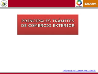 Vivir Mejor
TRÁMITES DE COMERCIO EXTERIOR
 