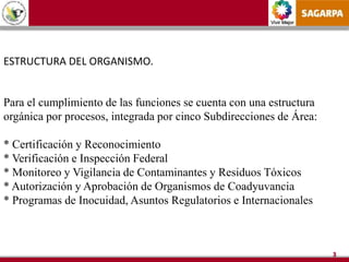 Vivir Mejor
3
ESTRUCTURA DEL ORGANISMO.
Para el cumplimiento de las funciones se cuenta con una estructura
orgánica por procesos, integrada por cinco Subdirecciones de Área:
* Certificación y Reconocimiento
* Verificación e Inspección Federal
* Monitoreo y Vigilancia de Contaminantes y Residuos Tóxicos
* Autorización y Aprobación de Organismos de Coadyuvancia
* Programas de Inocuidad, Asuntos Regulatorios e Internacionales
 