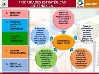 Vivir Mejor
PRIORIDADES
ESTRATÉGICAS
Regular las
actividades
fitozoosanitarias y
de inocuidad
alimentaria
(Regulación)
Apoyar las
exportaciones
de bienes
agrícolas,
acuícolas y
pecuarios
(Apoyo a las
exportaciones)
Implementar la
práctica de
producción y
consumo de
alimentos sin
riesgos de
contaminación
(Inocuidad)
Combatir las
principales plagas
y enfermedades
que afectan a la
agricultura,
acuacultura y
ganadería
(Campañas)
Proteger los
recursos
agrícolas,
acuícolas y
pecuarios del
país de plagas y
enfermedades
(Protección)
1. REGULACIÓN
SANITARIA
2. PROTECCIÓN
NACIONAL DE
PLAGAS Y
ENFERMEDADES
3. COMBATE DE
PLAGAS Y
ENFERMEDADES
4. INOCUIDAD
AGROALIMENTARIA
5. APOYO A LAS
EXPORTACIONES
 