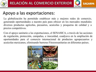 Vivir Mejor
Apoyo a las exportaciones:
La globalización ha permitido establecer más y mejores redes de comercio,
generando oportunidades a nuestro país para ofrecer en los mercados mundiales
diversos productos agrícolas, pecuarios, acuícolas y pesqueras de calidad y a
precios competitivos.
Con el apoyo sanitario a las exportaciones, el SENASICA, a través de las acciones
de regulación, protección, campañas, e inocuidad, coadyuva en la ampliación de
oportunidades para el comercio internacional de productos agropecuarios y
acuícolas mexicanos, eliminando barreras Fitozoosanitarias en diferentes países.
 