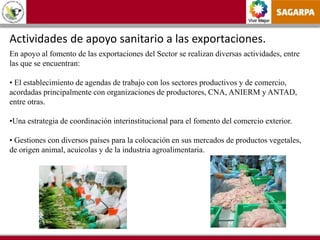 Vivir Mejor
Actividades de apoyo sanitario a las exportaciones.
En apoyo al fomento de las exportaciones del Sector se realizan diversas actividades, entre
las que se encuentran:
• El establecimiento de agendas de trabajo con los sectores productivos y de comercio,
acordadas principalmente con organizaciones de productores, CNA, ANIERM y ANTAD,
entre otras.
•Una estrategia de coordinación interinstitucional para el fomento del comercio exterior.
• Gestiones con diversos países para la colocación en sus mercados de productos vegetales,
de origen animal, acuícolas y de la industria agroalimentaria.
 