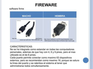 FIREWARE
software firme


                     MACHO                                                        HEMBRA




  http://www.solostocks.com/img/cable-video-digital-firewire-
                                                                http://www.bytelectro.es/430-large/adaptador-ieee-
                 macho-4p-macho-6p-1-80m-6380306z1.jpg
                                                                1394-firewire-hembra-6pin-a-firewire-4pin-macho.jpg



CARACTERISTICAS:
No se ha integrado como estandar en todas las computadoras
personales, ademas de que hay con 4, 6 y 9 pines, pero el mas
utilizado es el de 6 pines.
Cada puerto permite conectar como maximo 63 dispositivos
externos, pero se recomiendan como maximo 16, porque se satura
la línea del puerto y se ralentiza el sistema al tener que
administrarse todos simultaneamente.
 