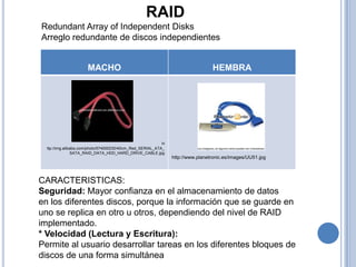 RAID
Redundant Array of Independent Disks
Arreglo redundante de discos independientes


                      MACHO                                                     HEMBRA




                                                           H
  ttp://img.alibaba.com/photo/574000230/40cm_Red_SERIAL_ATA_
                SATA_RAID_DATA_HDD_HARD_DRIVE_CABLE.jpg
                                                               http://www.planetronic.es/images/UU51.jpg



CARACTERISTICAS:
Seguridad: Mayor confianza en el almacenamiento de datos
en los diferentes discos, porque la información que se guarde en
uno se replica en otro u otros, dependiendo del nivel de RAID
implementado.
* Velocidad (Lectura y Escritura):
Permite al usuario desarrollar tareas en los diferentes bloques de
discos de una forma simultánea
 
