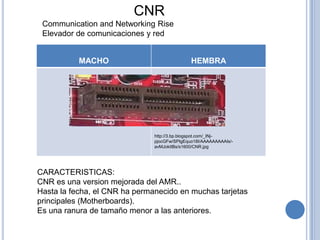 CNR
 Communication and Networking Rise
 Elevador de comunicaciones y red


           MACHO                              HEMBRA




                               http://3.bp.blogspot.com/_INj-
                               pjocGFw/SPIgEquo18I/AAAAAAAAAIs/-
                               avMJoktIBs/s1600/CNR.jpg




CARACTERISTICAS:
CNR es una version mejorada del AMR..
Hasta la fecha, el CNR ha permanecido en muchas tarjetas
principales (Motherboards).
Es una ranura de tamaño menor a las anteriores.
 