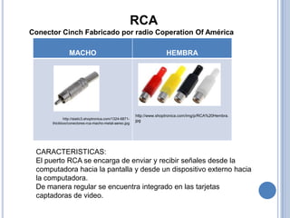 RCA
Conector Cinch Fabricado por radio Coperation Of América

                MACHO                                                  HEMBRA




                                                        http://www.shoptronica.com/img/p/RCA%20Hembra.
            http://static3.shoptronica.com/1324-6871-
                                                        jpg
      thickbox/conectores-rca-macho-metal-aereo.jpg




 CARACTERISTICAS:
 El puerto RCA se encarga de enviar y recibir señales desde la
 computadora hacia la pantalla y desde un dispositivo externo hacia
 la computadora.
 De manera regular se encuentra integrado en las tarjetas
 captadoras de video.
 