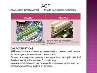 AGP
Accelerated Graphics Port                              Puerto de Gráficos Acelerado


                     MACHO                                                   HEMBRA




                                                            http://4.bp.blogspot.com/_YqzjMwXdf5w/S-
                               http://1.bp.blogspot.com/-
                                                            c05Ue1ovI/AAAAAAAAAB0/noM84BWyT9k/s1600/motherboa
 GS8WoTHY7NI/TmDMGMFc2FI/AAAAAAAAABg/pcJanQRNlGY/s1600
                                                 /agp.jpg   rd_slot_agp.jpg



CARACTERISTICAS:
AGP se considera una ranura de expansion, pero no está dentro
de la categoría sino mas bien de un puerto.
Es una ranura que ocupa muy poco espacio en la tarjeta principal
(Motherboard), mide apenas 8 cm. de largo.
No esta conectado con las ranuras de expansión, por lo que no
comparte recursos y agiliza su función.
 