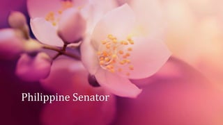 Philippine Senator
 
