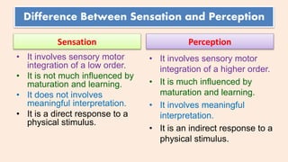 sensation perception and attention