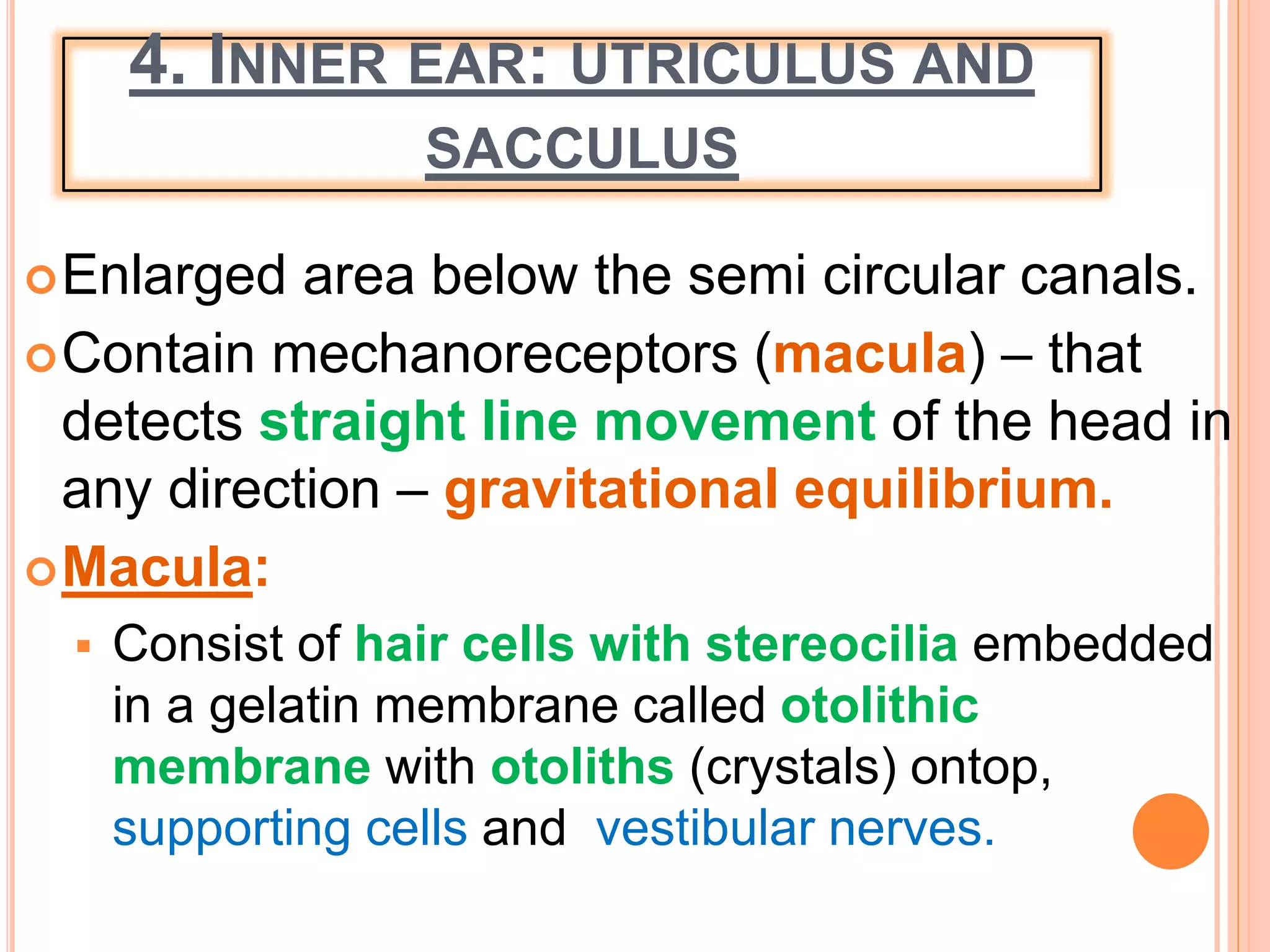 Sence organs ear and nose | PPTX