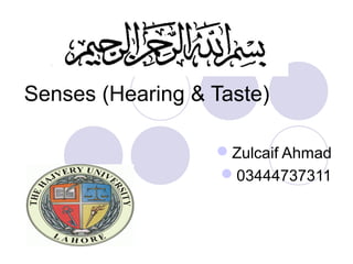 Senses (Hearing & Taste)

                  Zulcaif Ahmad
                  03444737311
 