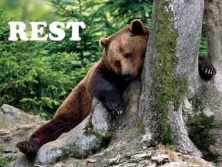 REST

 