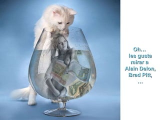 Oh…  les gusta mirar a  Alain Delon, Brad Pitt, … 