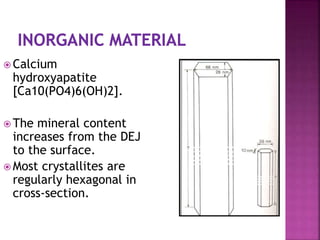 Calcium 
hydroxyapatite 
[Ca10(PO4)6(OH)2]. 
The mineral content 
increases from the DEJ 
to the surface. 
Most crystallites are 
regularly hexagonal in 
cross-section. 
 