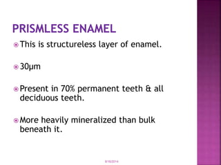  This is structureless layer of enamel. 
30μm 
Present in 70% permanent teeth & all 
deciduous teeth. 
More heavily mineralized than bulk 
beneath it. 
9/16/2014 
 